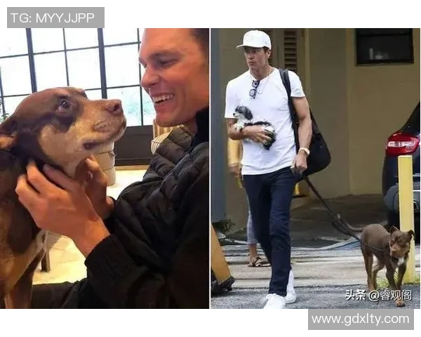 全球足球巨星与他们的爱犬们 揭秘球场之外的忠诚伴侣